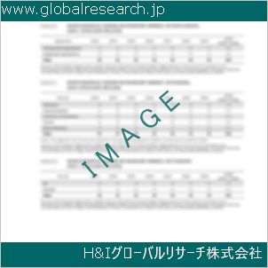 グローバルリサーチ調査資料のイメージ